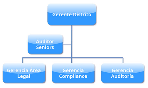 Estructura Organizacional